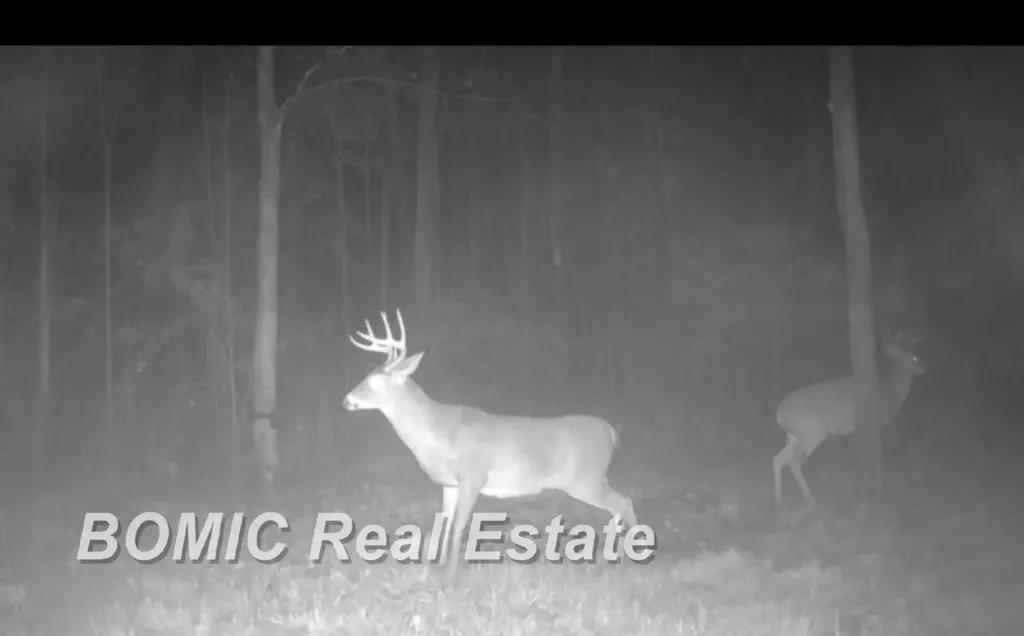 3865 Mushroom Road Wells Township MI 48723