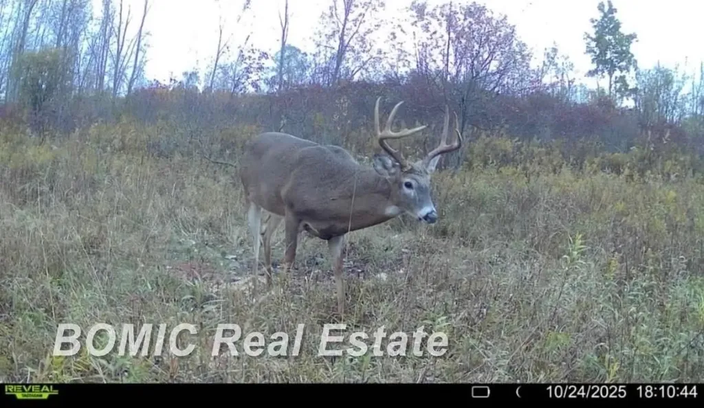 3865 Mushroom Road Wells Township MI 48723