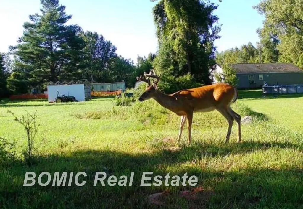 3865 Mushroom Road Wells Township MI 48723