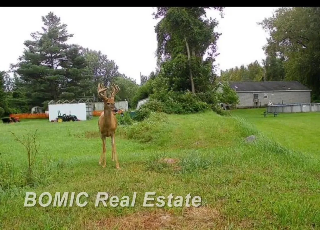 3865 Mushroom Road Wells Township MI 48723