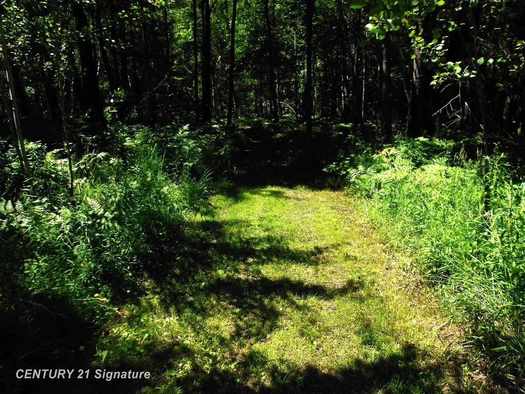 4712 Berry Road Clayton Township MI 48659