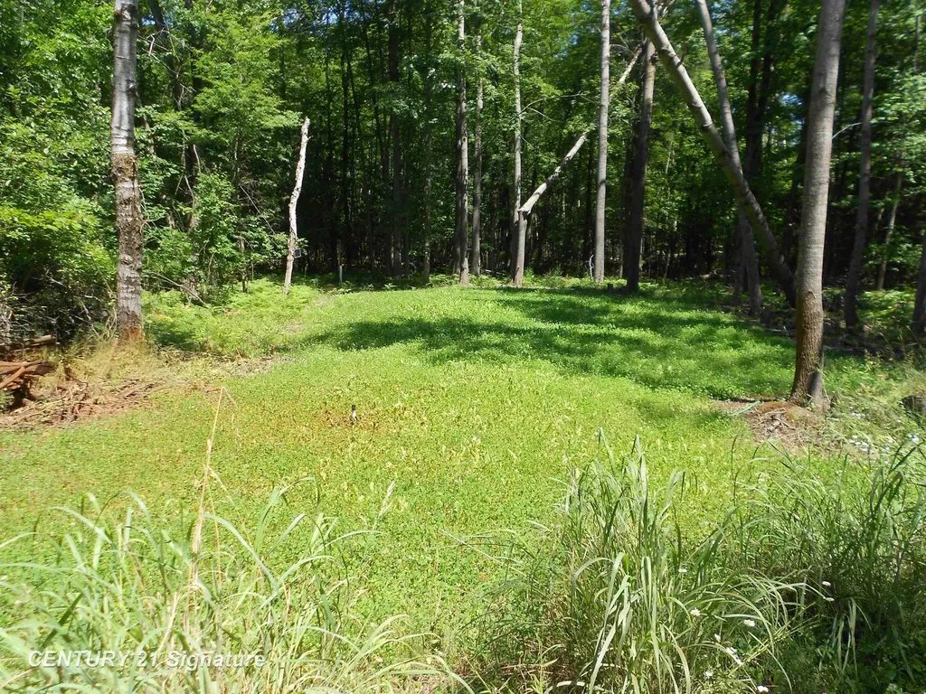 4712 Berry Road Clayton Township MI 48659