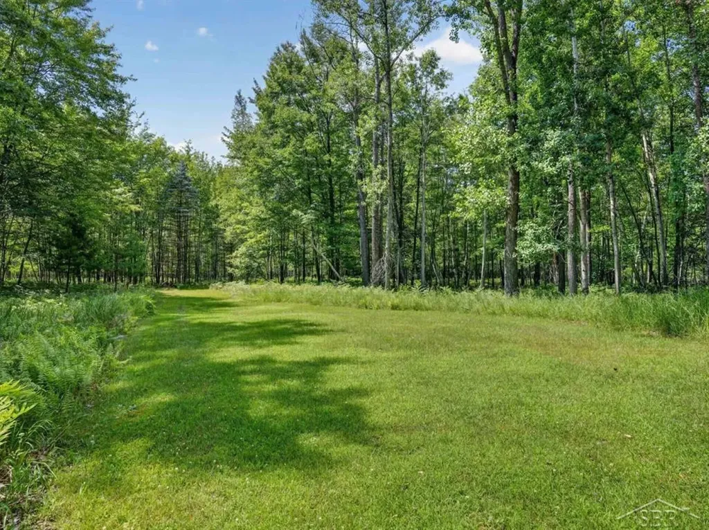 457 E Mier Road Lincoln Township MI 48657