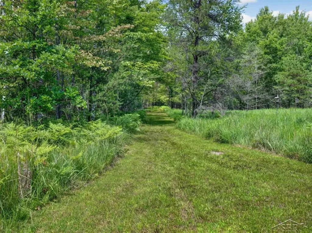 457 E Mier Road Lincoln Township MI 48657