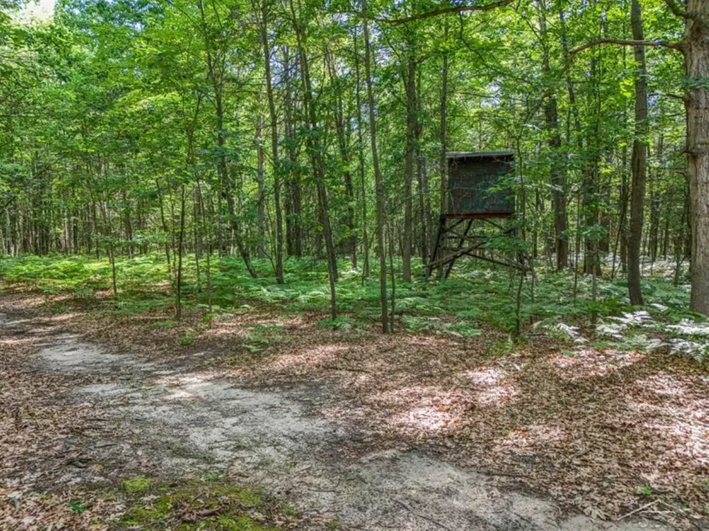 457 E Mier Road Lincoln Township MI 48657
