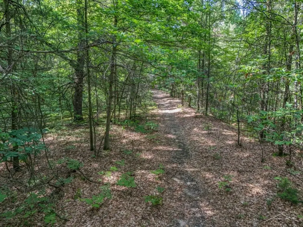 457 E Mier Road Lincoln Township MI 48657