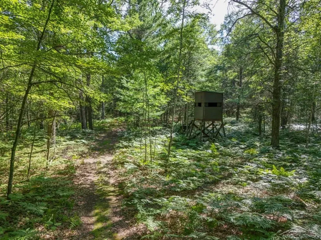 457 E Mier Road Lincoln Township MI 48657