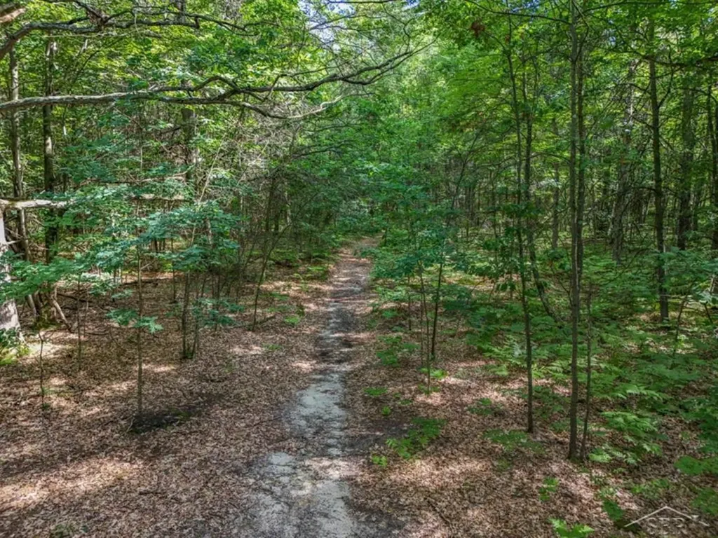 457 E Mier Road Lincoln Township MI 48657