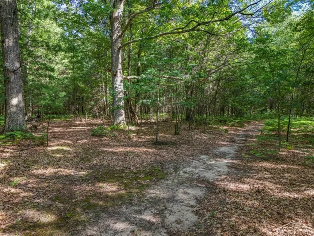 457 E Mier Road Lincoln Township MI 48657