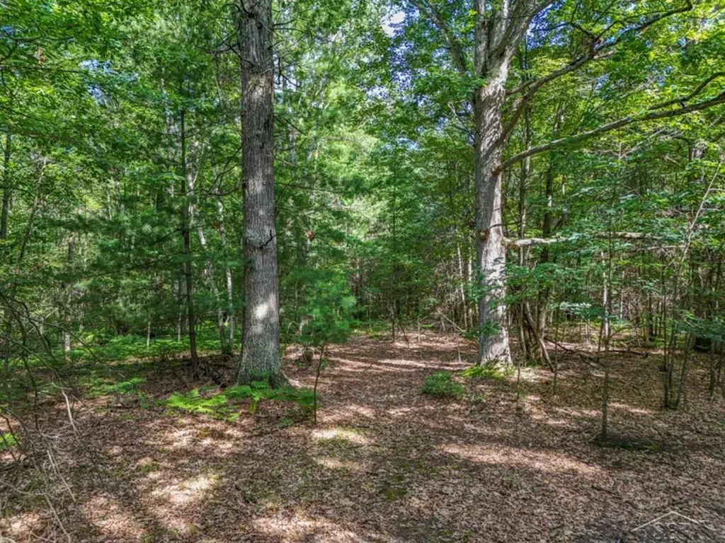 457 E Mier Road Lincoln Township MI 48657