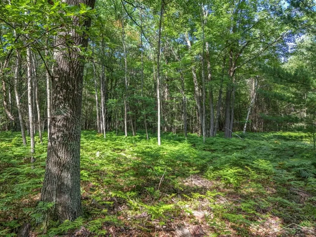 457 E Mier Road Lincoln Township MI 48657