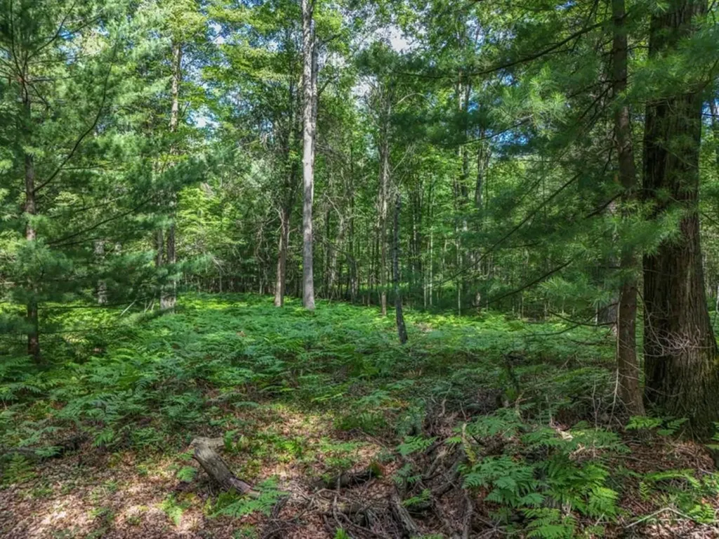 457 E Mier Road Lincoln Township MI 48657