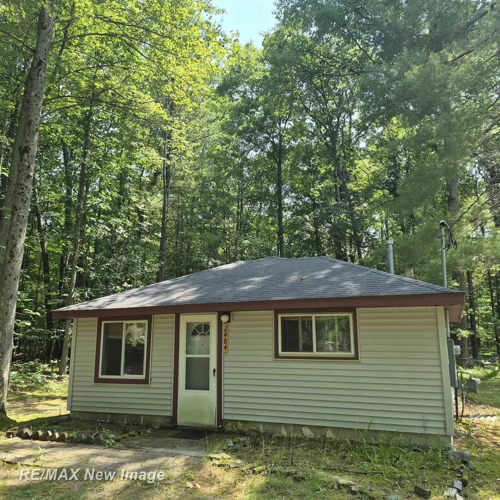 2484 Larry Drive Mills Township MI 48756