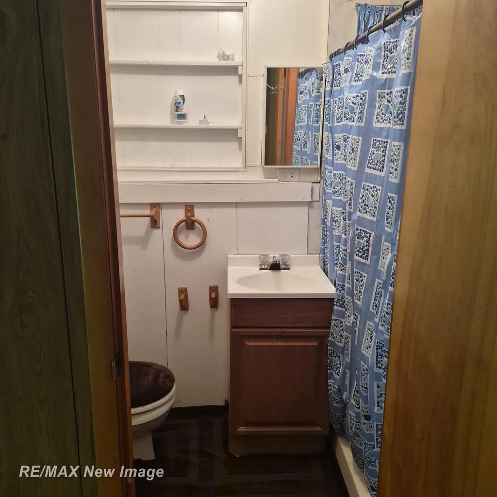2484 Larry Drive Mills Township MI 48756