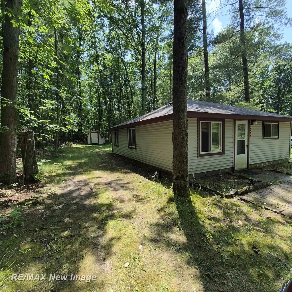 2484 Larry Drive Mills Township MI 48756