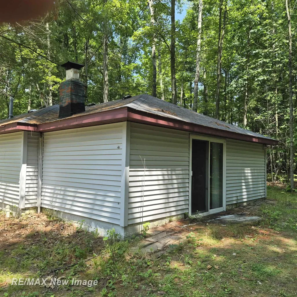 2484 Larry Drive Mills Township MI 48756