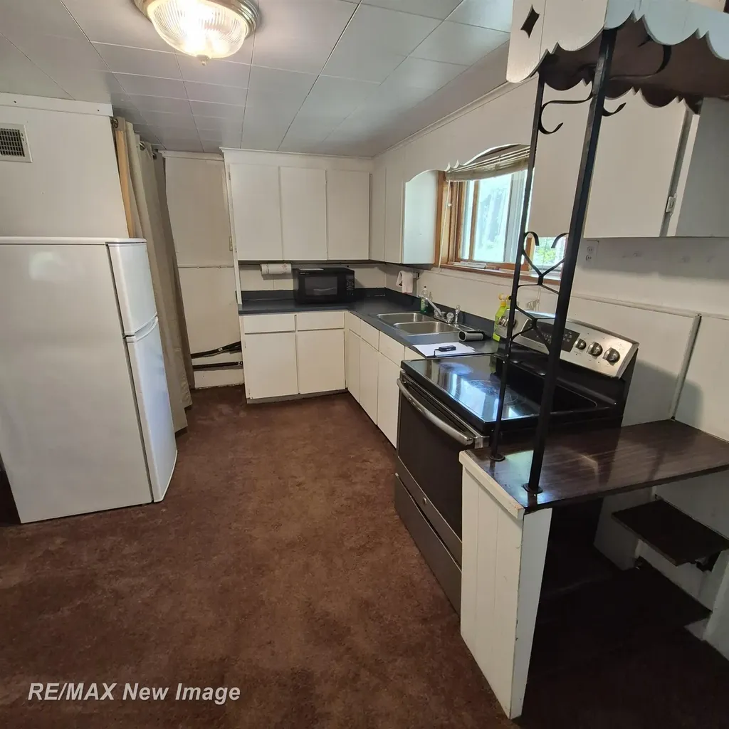 2484 Larry Drive Mills Township MI 48756