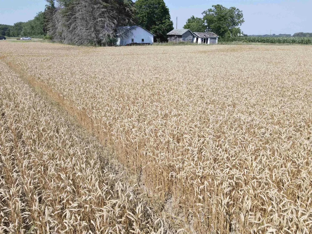 10275 Swan Creek Road Thomas Township MI 48609