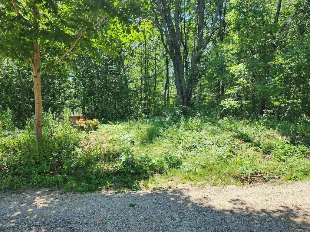 7947 Manitonka Lane Sherman Township MI 48632