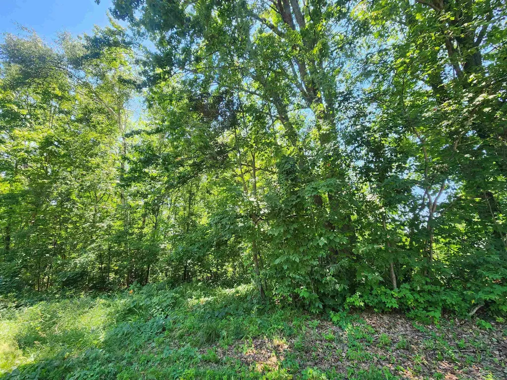 7947 Manitonka Lane Sherman Township MI 48632