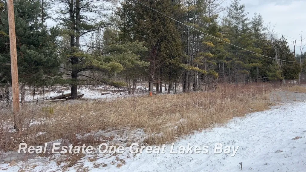 0 M-55 Highway Tawas City City MI 48763