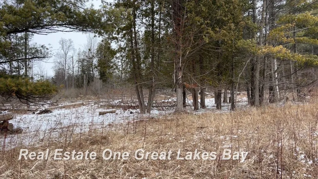 0 M-55 Highway Tawas City City MI 48763