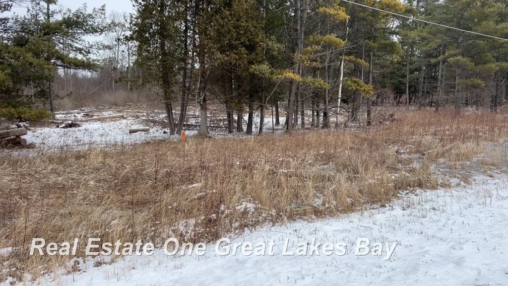 0 M-55 Highway Tawas City City MI 48763