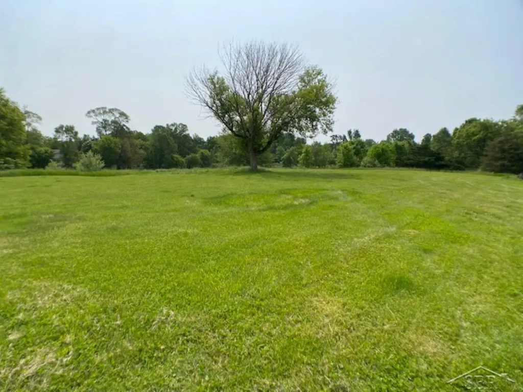11755 W Tittabawassee Road Thomas Township MI 48623
