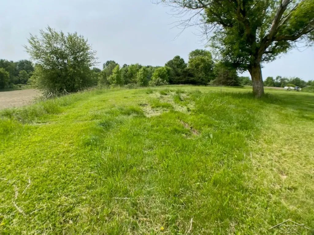 11755 W Tittabawassee Road Thomas Township MI 48623