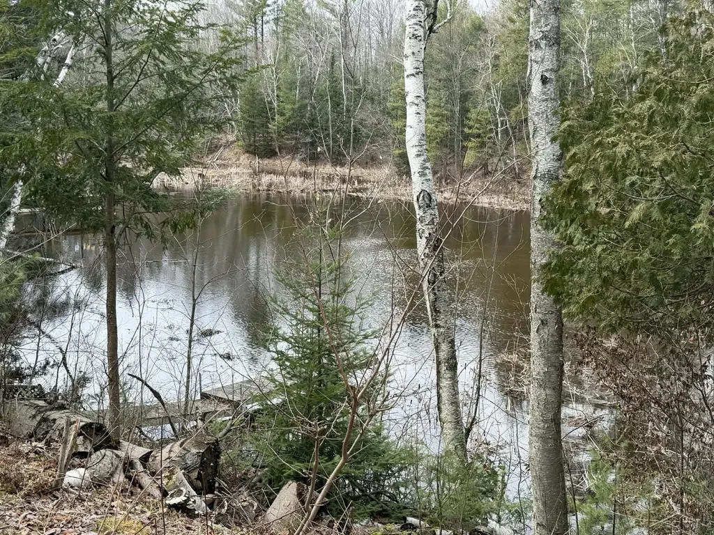 2823 River Ridge Road Bourret Township MI 48610