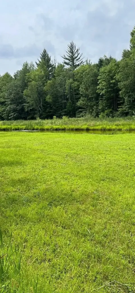 2823 River Ridge Road Bourret Township MI 48610