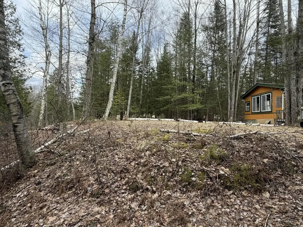 2823 River Ridge Road Bourret Township MI 48610