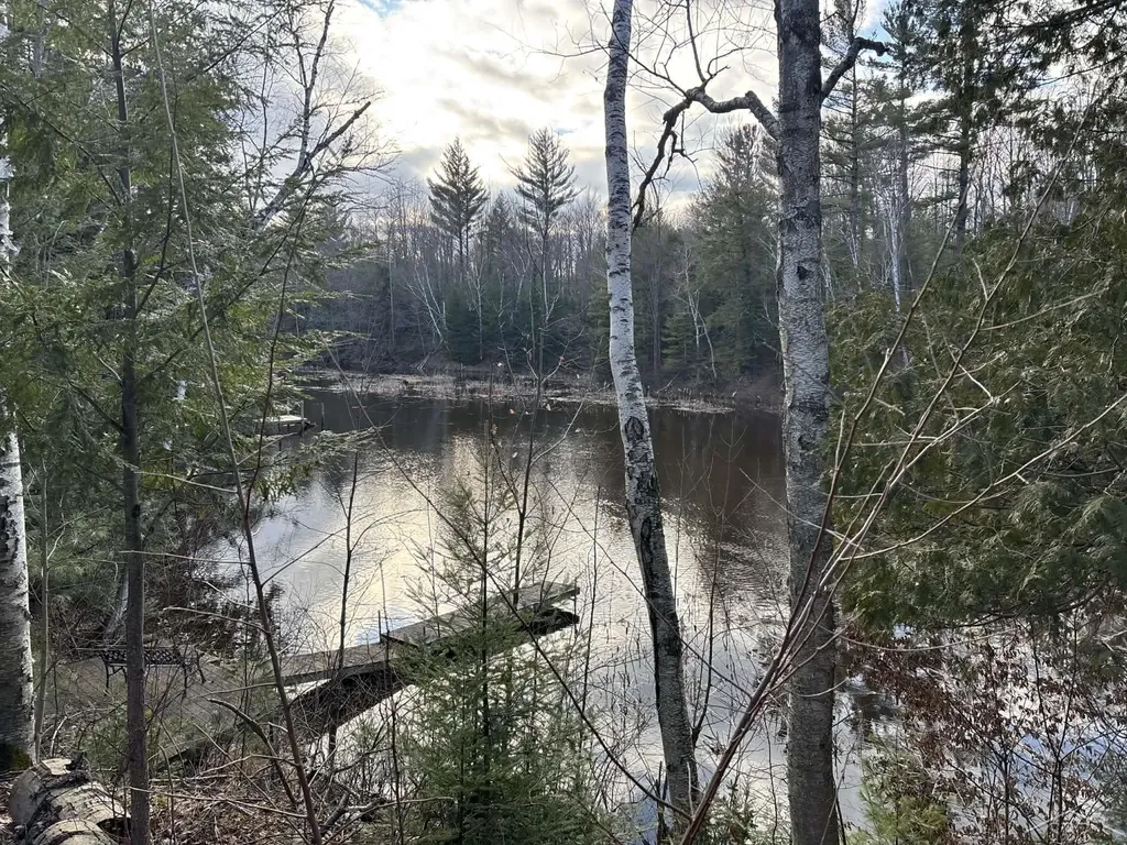 2823 River Ridge Road Bourret Township MI 48610