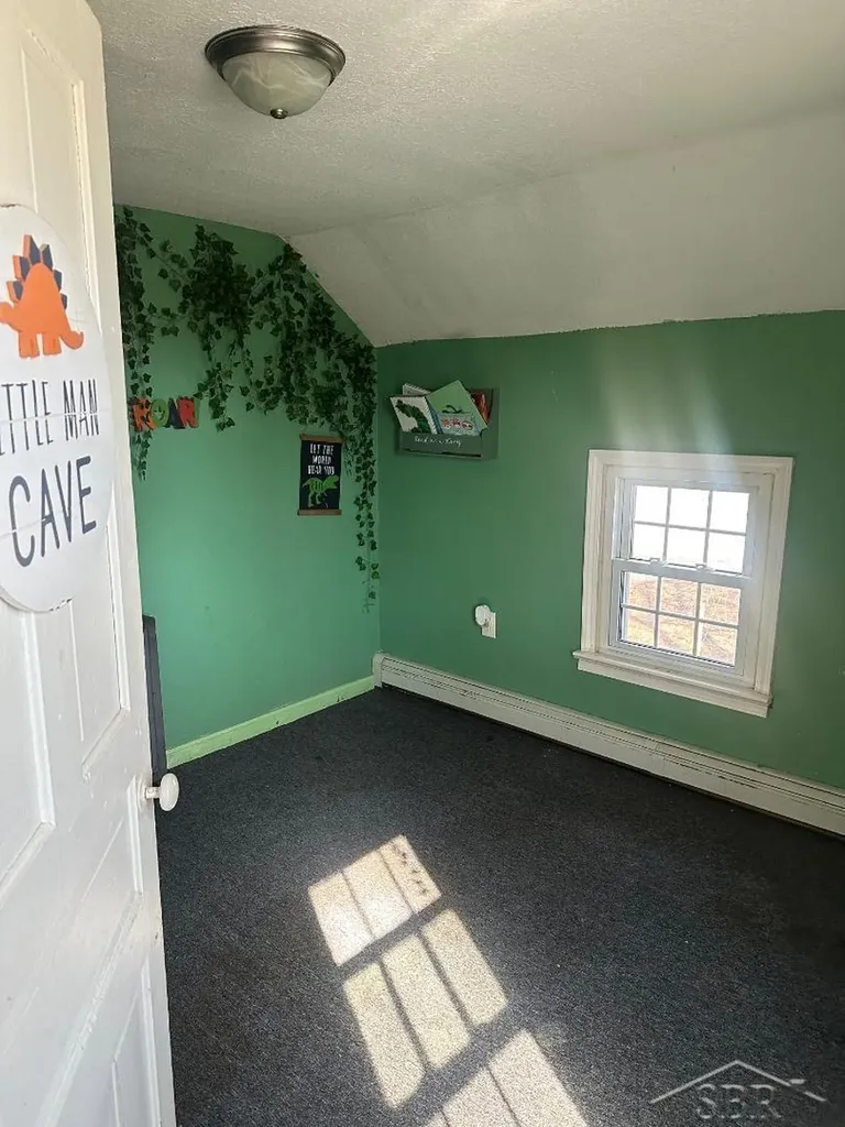 609 Olive Road St. Louis City MI 48880