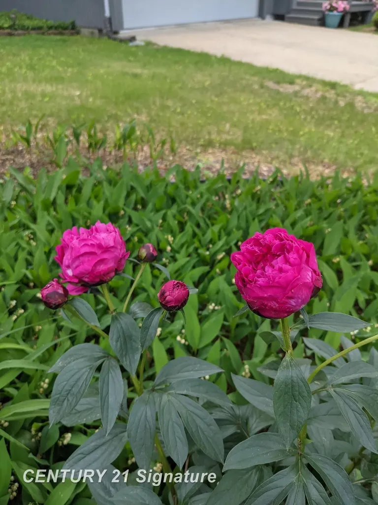 5808 Lantern Lane Midland City MI 48642