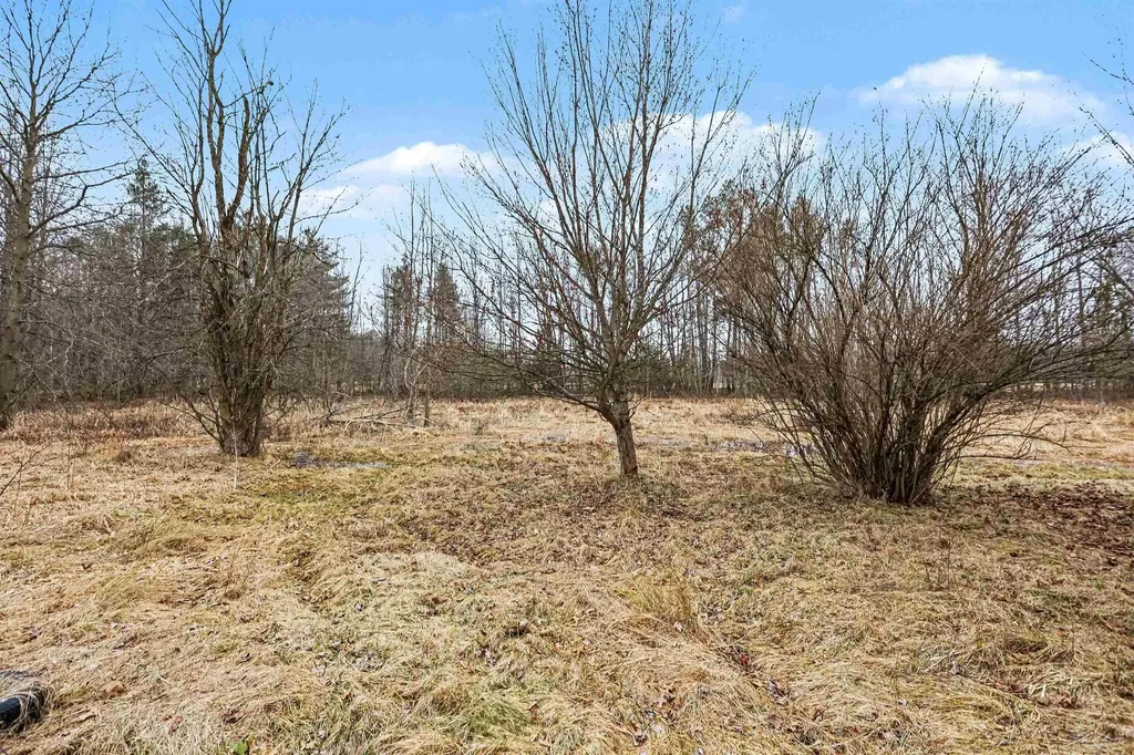 5628 S Orr Road Fremont Township MI 48655