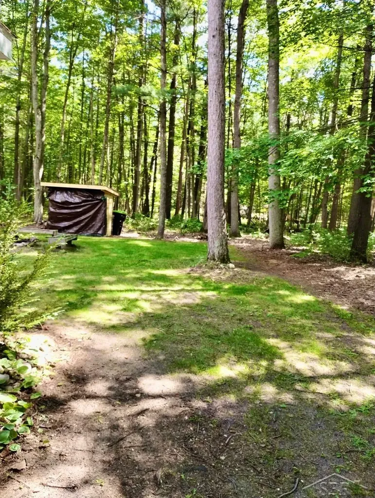 4019 E Higgins Lake Drive Gerrish Township MI 48653