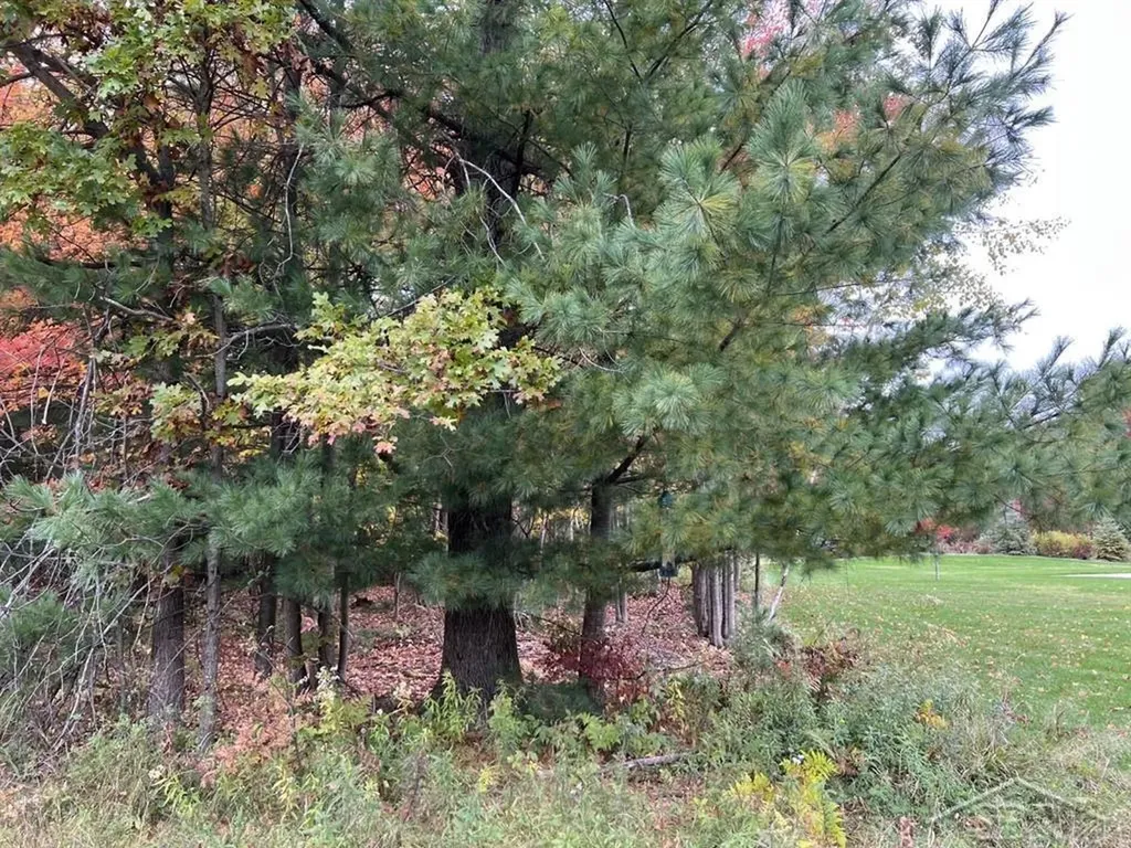 5719 Foxfire Drive Midland City MI 48642