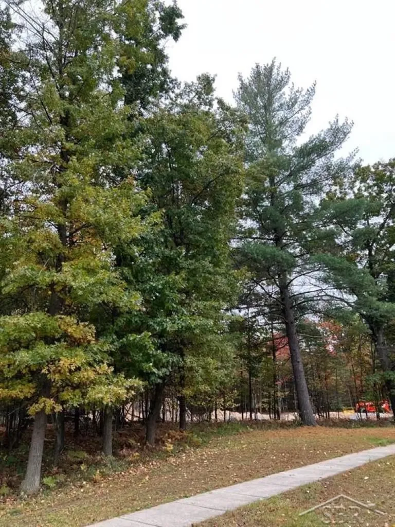 5719 Foxfire Drive Midland City MI 48642