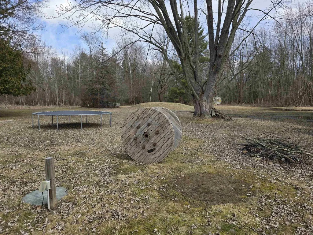 1711 S Poseyville Road Ingersoll Township MI 48640