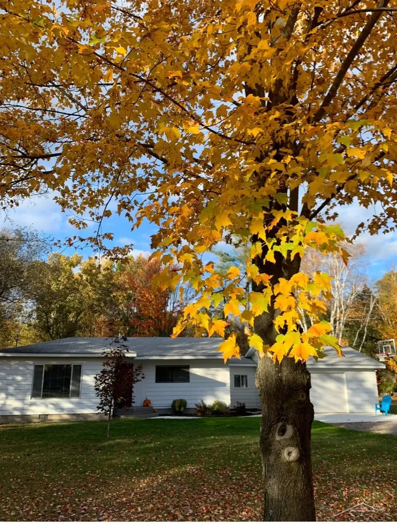 67 E Huron Road Au Gres Township MI 48749