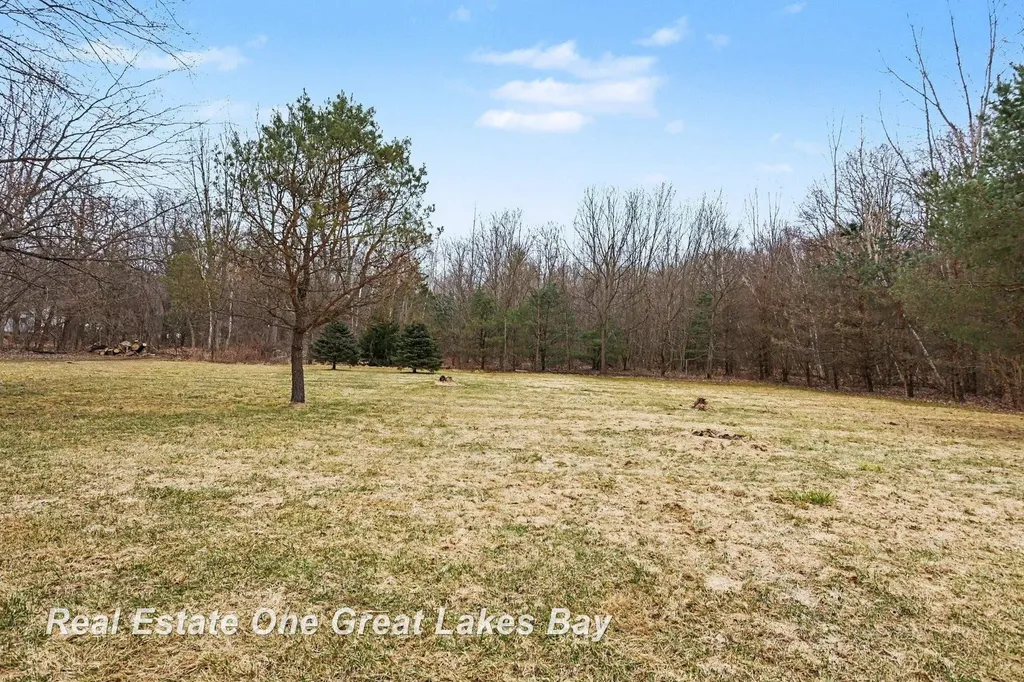 12467 Dorwood Road Taymouth Township MI 48417
