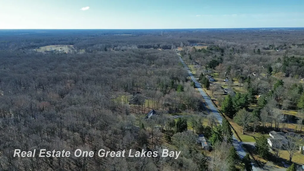 12467 Dorwood Road Taymouth Township MI 48417