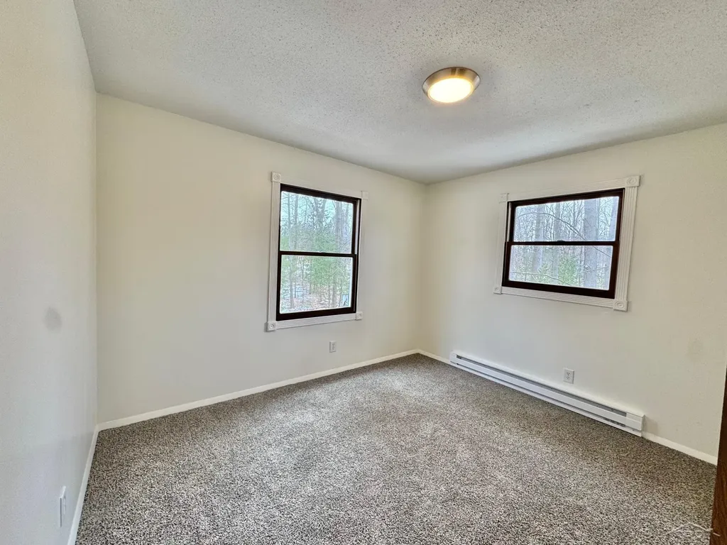 219 S Nine Mile Road Lee Township MI 48640