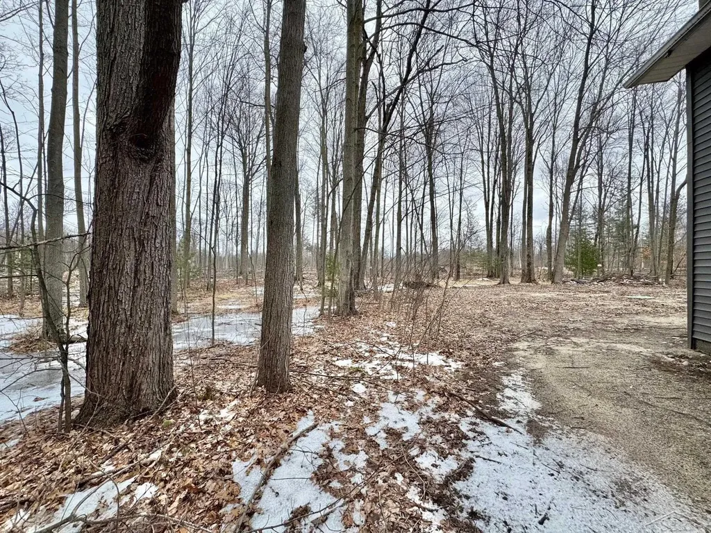 219 S Nine Mile Road Lee Township MI 48640