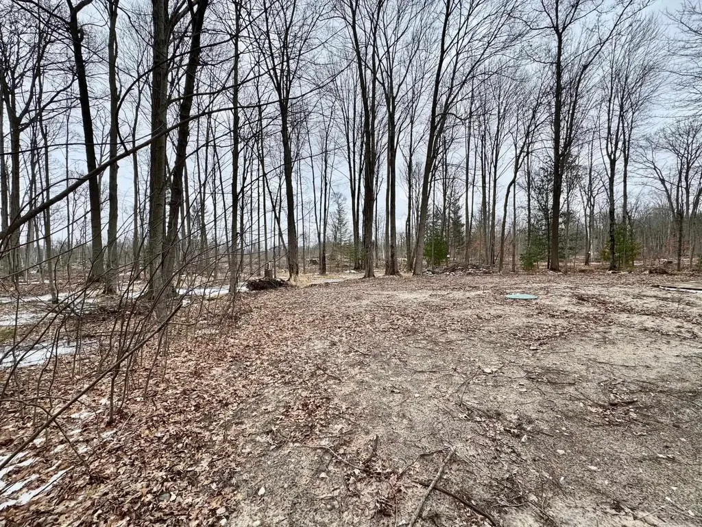 219 S Nine Mile Road Lee Township MI 48640