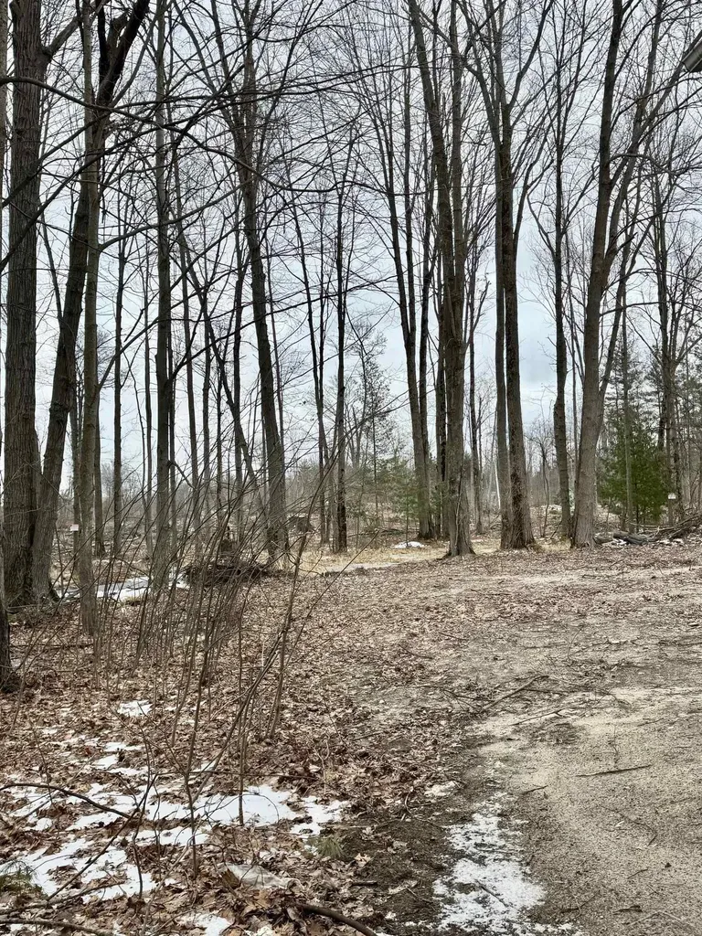 219 S Nine Mile Road Lee Township MI 48640