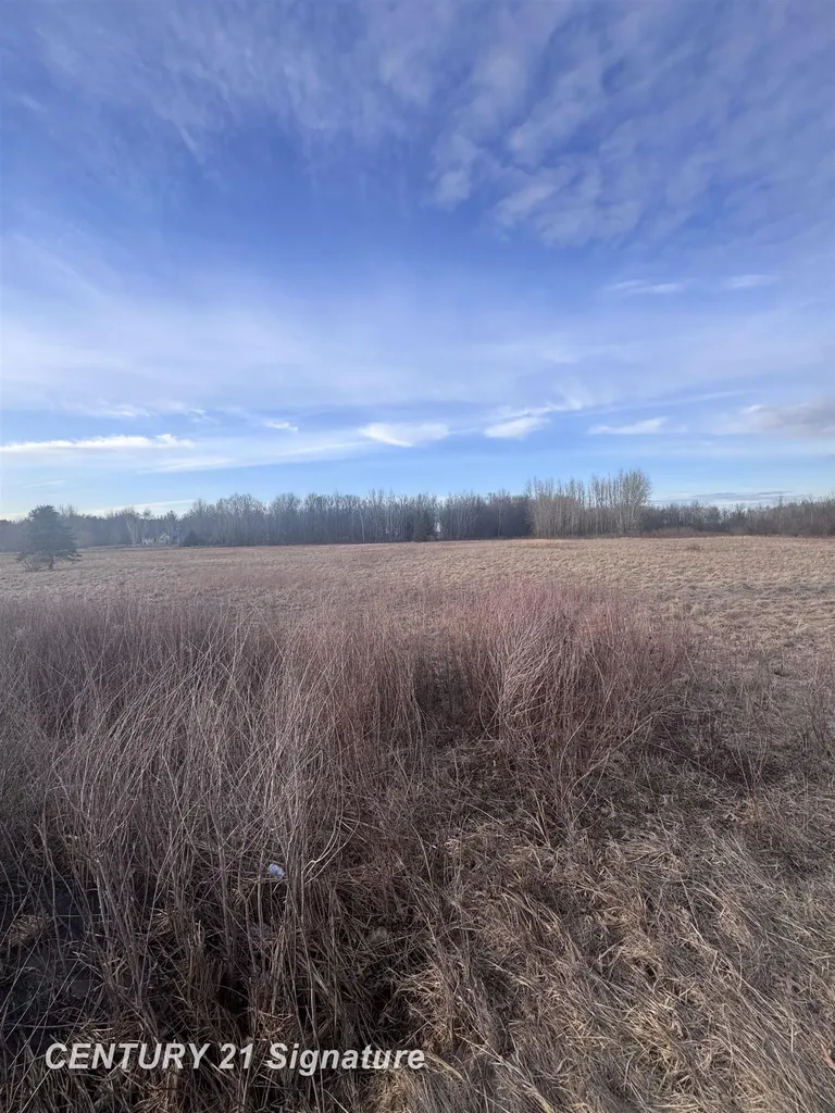 V/l E Hubbard Road Larkin Charter Township MI 48642
