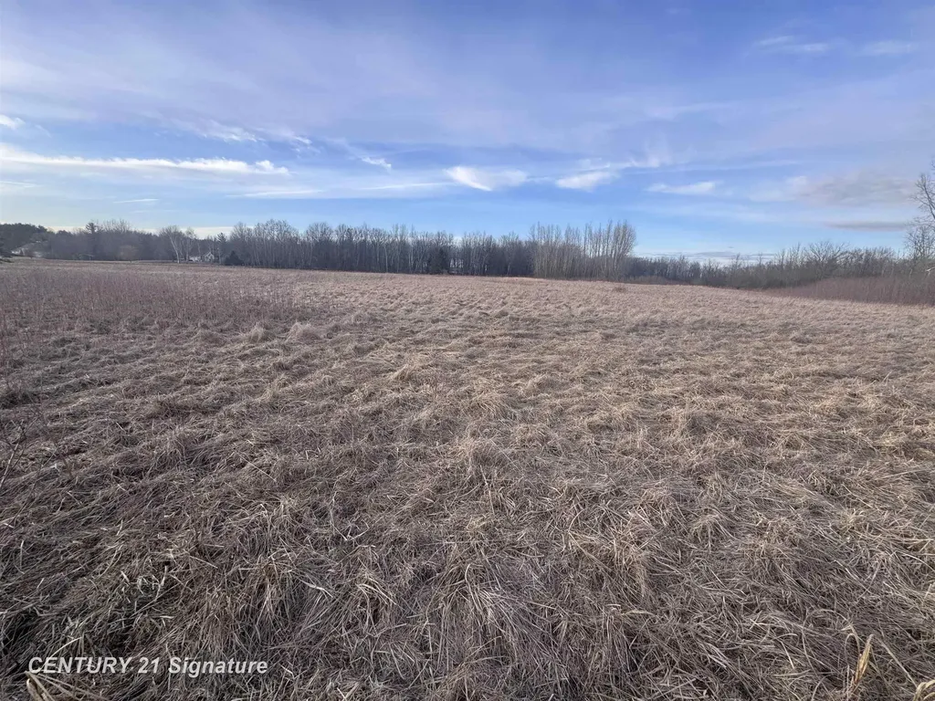 V/l E Hubbard Road Larkin Charter Township MI 48642