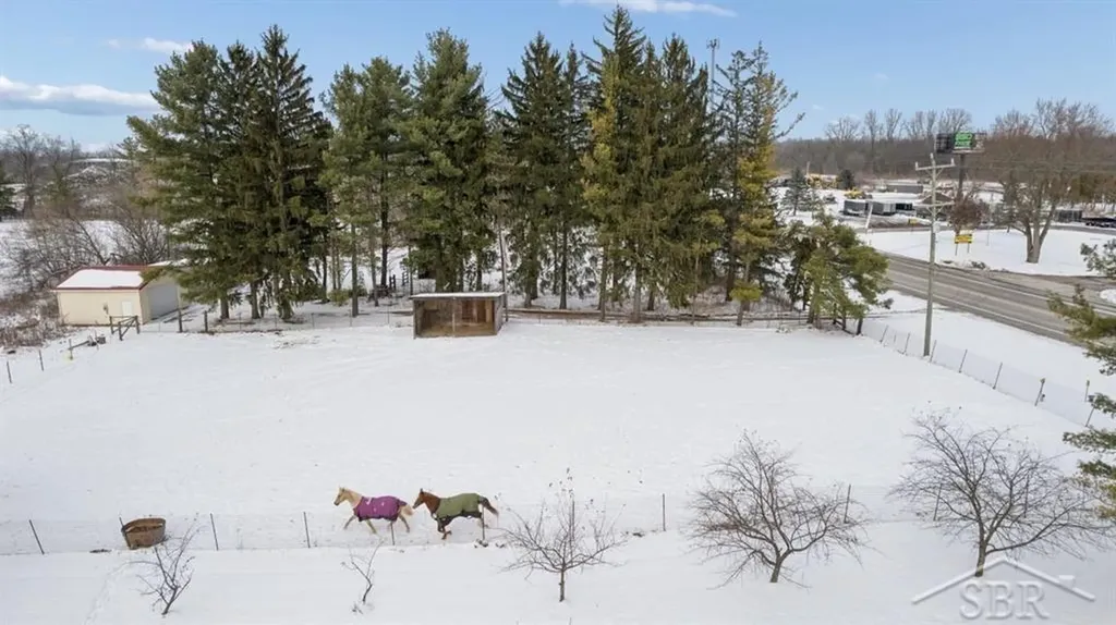 6431 Whitmore Lake Road Northfield Township MI 48189